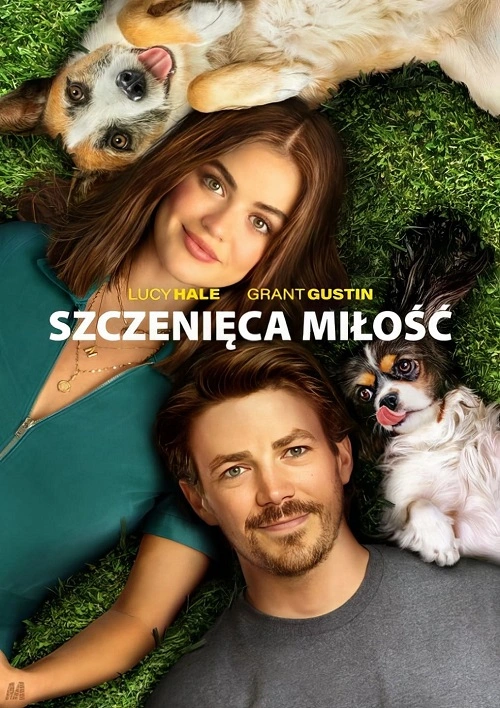 poster film Szczenięca miłość